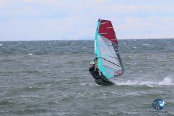20260314-franqui-190.jpg