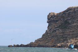 20260314-franqui-208.jpg