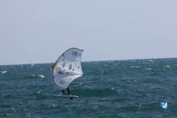 20260321-Roses-011.jpg