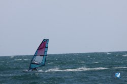 20260321-Roses-016.jpg