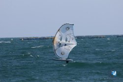 20260321-Roses-020.jpg