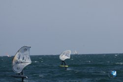 20260321-Roses-043.jpg