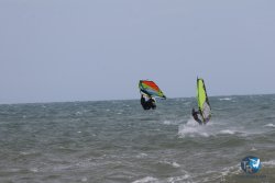20260328-cypriano-ouest-064.jpg