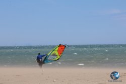 20260329-Franqui-wave-001.jpg
