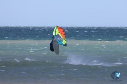 20260329-Franqui-wave-012.jpg