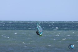 20260329-Franqui-wave-015.jpg