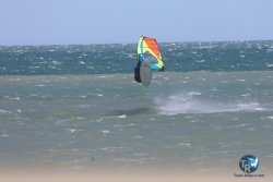 20260329-Franqui-wave-022.jpg