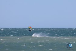 20260329-Franqui-wave-023.jpg