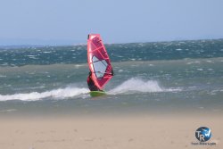 20260329-Franqui-wave-041.jpg