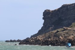 20260329-Franqui-wave-051.jpg