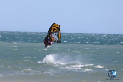 20260329-Franqui-wave-072.jpg