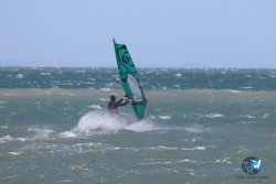 20260329-Franqui-wave-087.jpg
