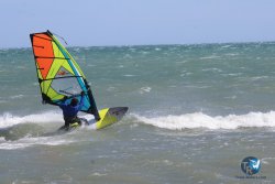 20260329-Franqui-wave-102.jpg