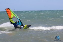20260329-Franqui-wave-103.jpg