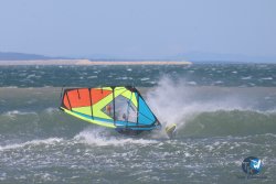 20260329-Franqui-wave-118.jpg