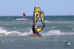 20260329-Franqui-wave-133.jpg