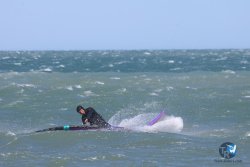 20260329-Franqui-wave-183.jpg