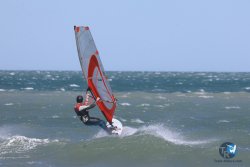 20260329-Franqui-wave-194.jpg
