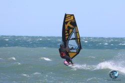 20260329-Franqui-wave-201.jpg