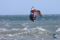 20260329-Franqui-wave-217.jpg