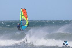 20260329-Franqui-wave-234.jpg