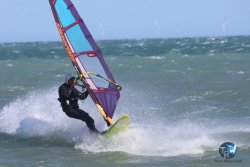 20260329-Franqui-wave-256.jpg