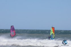 20260329-Franqui-wave-283.jpg