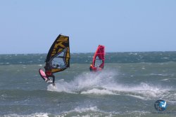 20260329-Franqui-wave-296.jpg