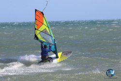 20260329-Franqui-wave-320.jpg