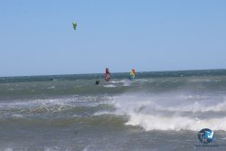 20260329-Franqui-wave-330.jpg