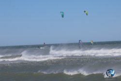 20260329-Franqui-wave-331.jpg