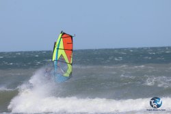 20260329-Franqui-wave-333.jpg
