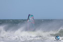 20260329-Franqui-wave-350.jpg