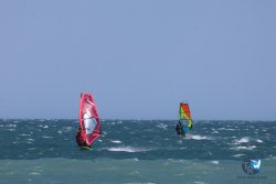 20260403-Franqui-fort-087.jpg