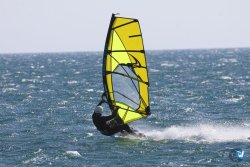 20260531-franqui-006.jpg