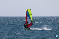 20260531-franqui-012.jpg