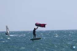 20260531-franqui-031.jpg