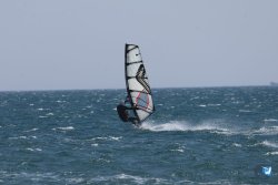 20260531-franqui-059.jpg
