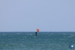 20260531-franqui-184.jpg