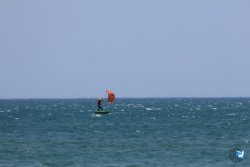 20260531-franqui-185.jpg