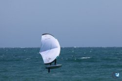 20260627-Marinade-Franqui-002.jpg