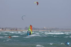 20260627-Marinade-Franqui-016.jpg