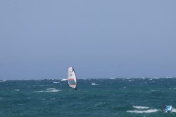 20260627-Marinade-Franqui-020.jpg