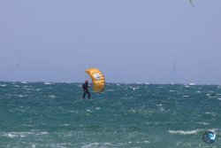 20260627-Marinade-Franqui-074.jpg