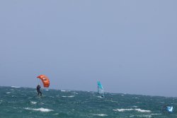 20260627-Marinade-Franqui-077.jpg