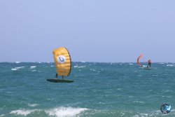 20260627-Marinade-Franqui-079.jpg