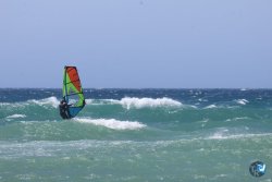 20260704-Canos-038.jpg