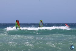 20260704-Canos-039.jpg