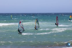 20260704-Canos-144.jpg