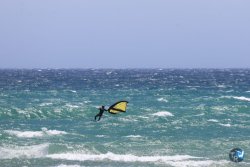 20260704-Canos-180.jpg